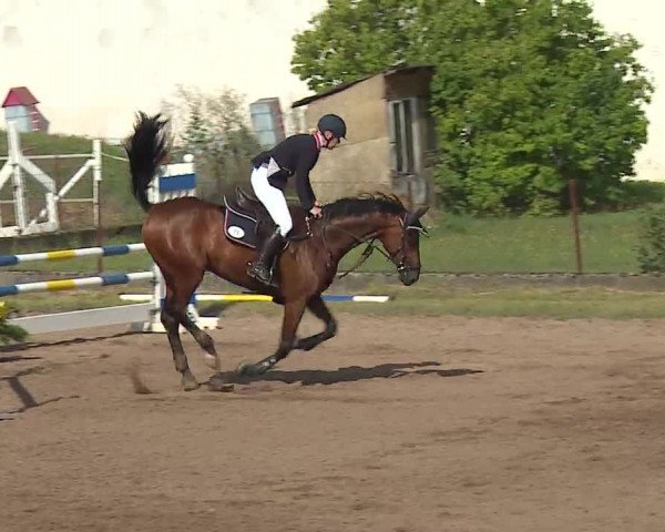 Reitturnier Demantsfürth/Mfr. 2019