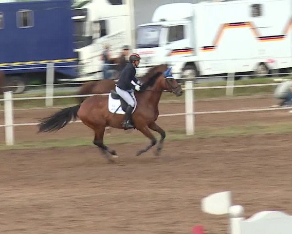 Reitturnier Demantsfürth/Mfr. 2019