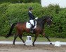 dressage horse Don Pleasure 3 (Hanoverian, 2007, from Dancier)