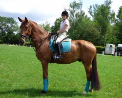 dressage horse Bentley 98 (Westphalian, 2010, from Bordeaux 28)