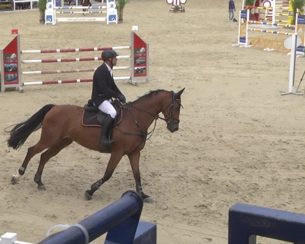 Reitturnier Hauerz 2019