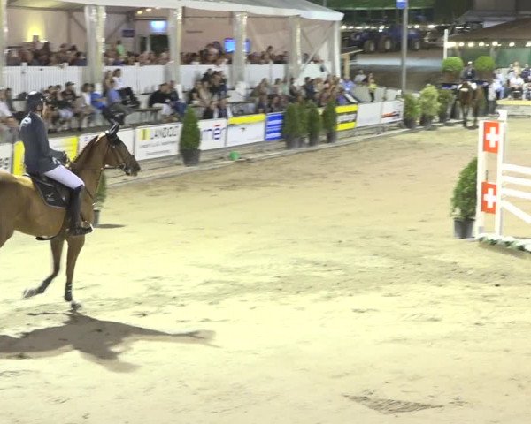 Reitturnier Humlikon 2019