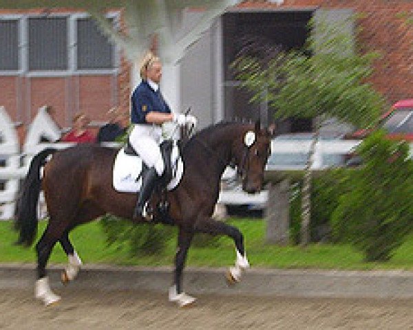 horse Flavia L (Hanoverian, 2005, from Florencio I)