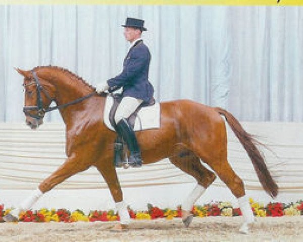 horse Wassilij L (Hanoverian, 1997, from Wolkenstein II)