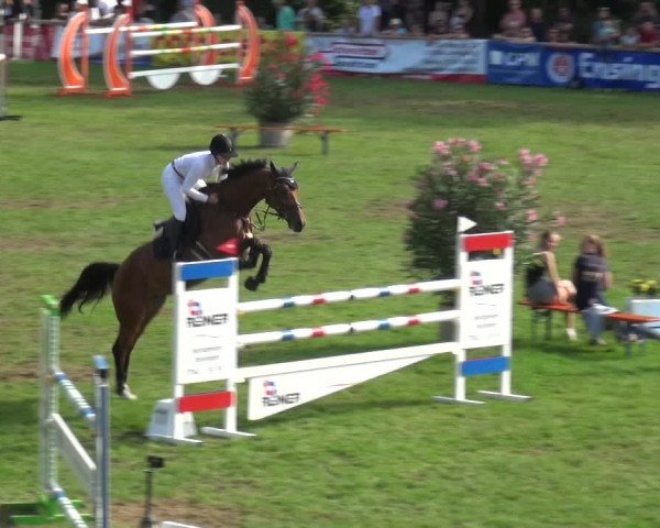 Reitturnier Bietigheim-Bissingen 2019