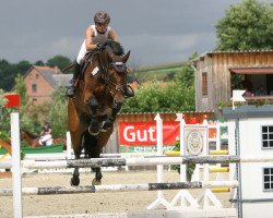 jumper L'Espoir 13 (Zangersheide riding horse, 2008, from Tailormade Lawito)