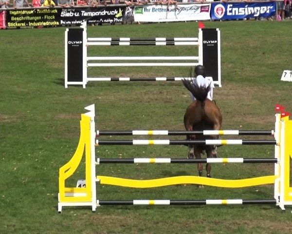 Reitturnier Bietigheim-Bissingen 2019