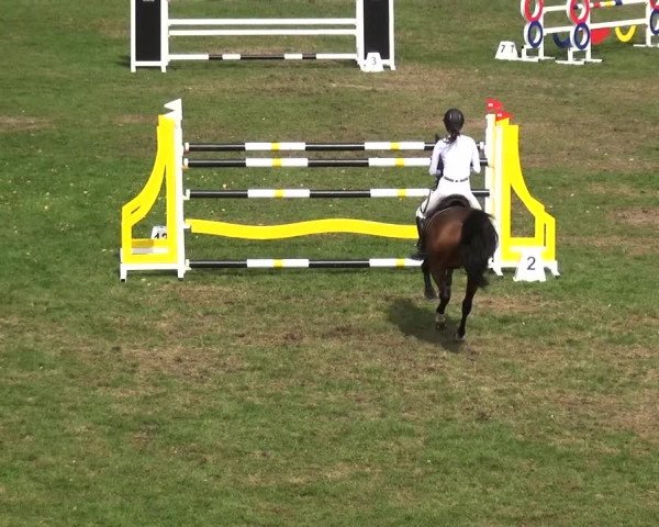 Reitturnier Bietigheim-Bissingen 2019
