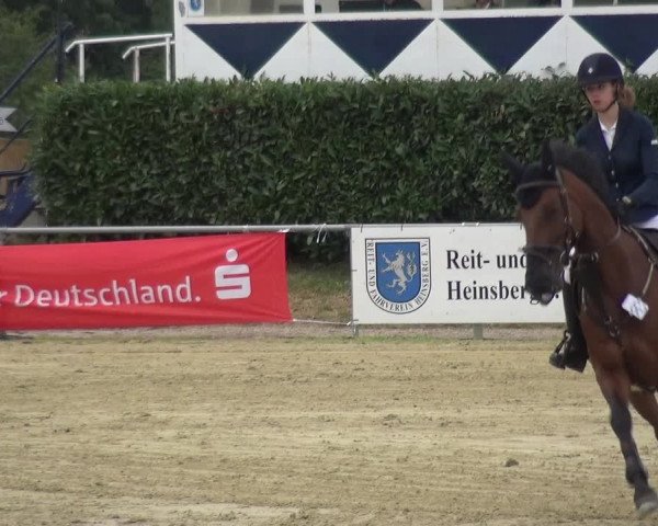Reitturnier Heinsberg 2019