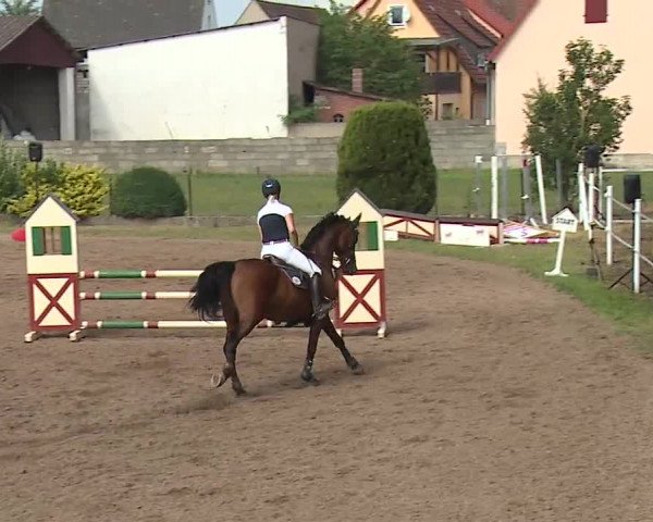 Reitturnier Demantsfürth/Mfr. 2019