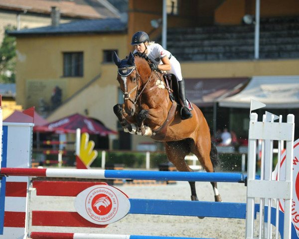 broodmare Eolita (KWPN (Royal Dutch Sporthorse), 2009, from VDL Harley)