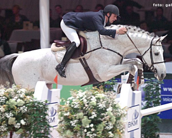horse Tamura van 't Heike (Belgian Warmblood, 1996, from Amaretto D I)