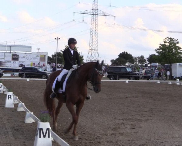 Reitturnier Heinsberg 2019