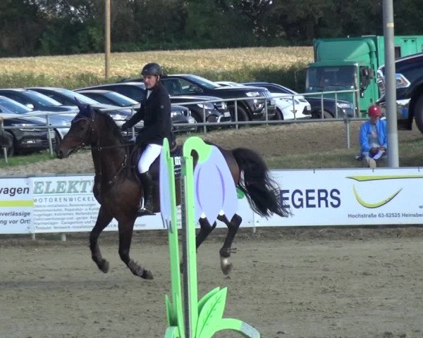 Reitturnier Heinsberg 2019