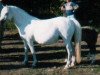 Zuchtstute Pendock Lilac Time (Welsh Mountain Pony (Sek.A), 1967, von Twyford Juggler)