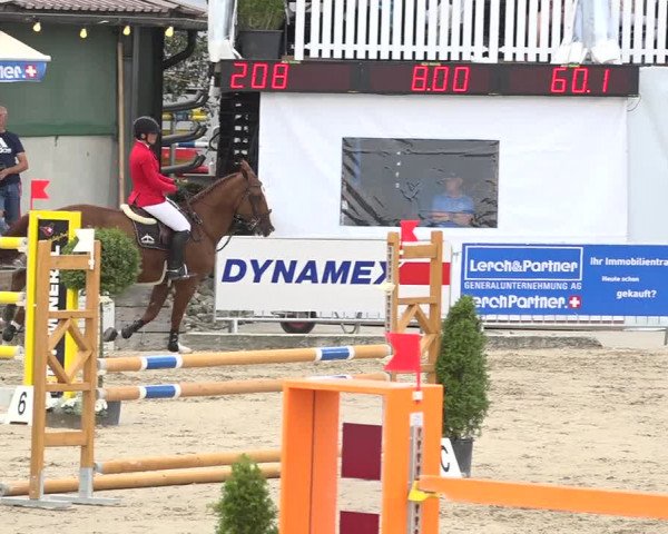 Reitturnier Humlikon 2019