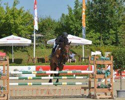 jumper Babylon Sr Z (Zangersheide riding horse, 2009, from Berlin)