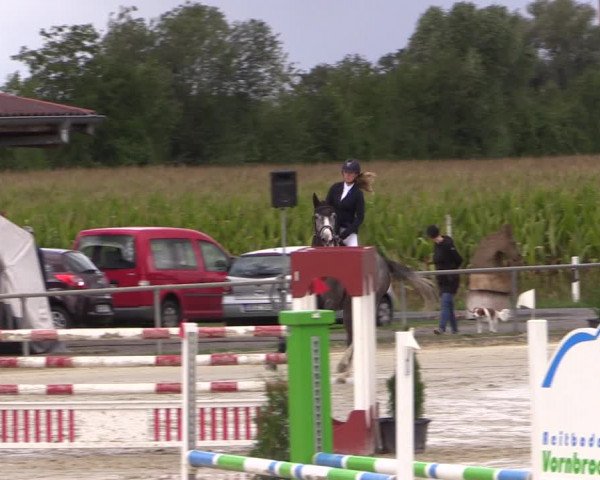 Reitturnier Appelhülsen 2019