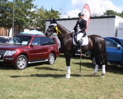 dressage horse Ferrell Semper Fidelis (Oldenburg, 2011, from Fürstenball)