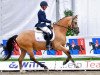 dressage horse Bks Coolio WE (German Riding Pony, 2012, from FS Champion de Luxe)