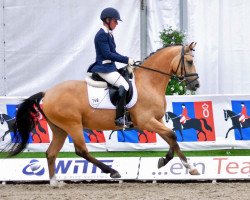 dressage horse Bks Coolio WE (German Riding Pony, 2012, from FS Champion de Luxe)