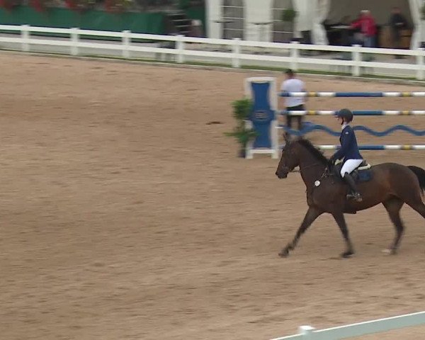 Reitturnier Kreuth/Opf. 2019