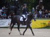 broodmare Pamina 474 (Westphalian, 2011, from Ullrich Equine's Pontecini)