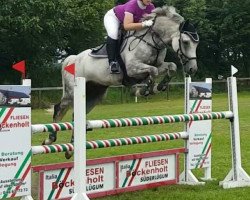 dressage horse Quite de calme (Holsteiner, 2005, from Quite Capitol)