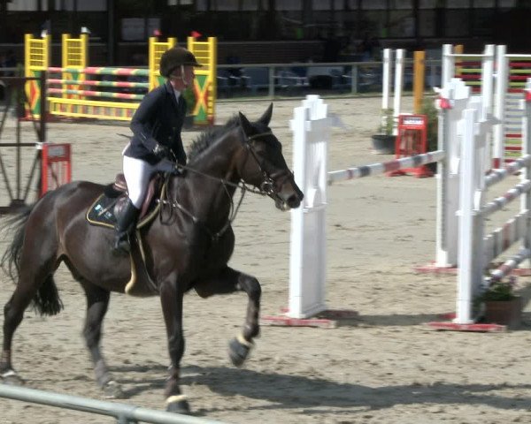 Reitturnier Appelhülsen 2019
