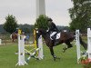 dressage horse Laura's Stern (Hanoverian, 2010, from Lord Laurie)