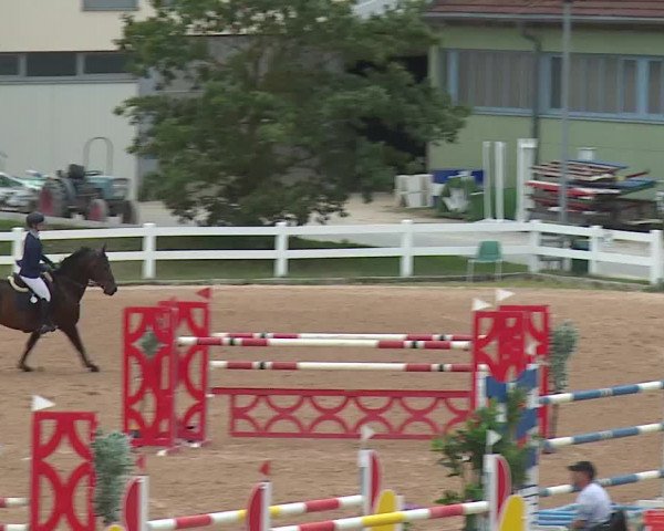 Reitturnier Kreuth/Opf. 2019
