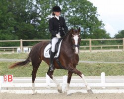 broodmare Dawina (Oldenburg, 2006, from Glock's Johnson Tn)