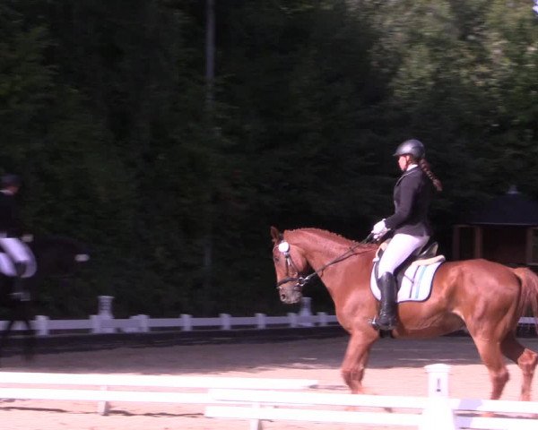 Reitturnier Mettmann - Reitanlage Löckenhoff 2019