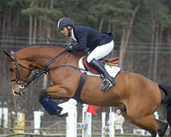 Deckhengst Moujik de Sohan (Belgium Sporthorse, 1996, von Hebah van de Casterhoeve)