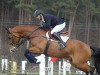 stallion Moujik de Sohan (Belgium Sporthorse, 1996, from Hebah van de Casterhoeve)