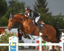 Springpferd Boemerang van Generhese (Belgium Sporthorse, 2007, von Moujik de Sohan)