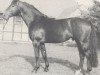 stallion Aperitif (Hanoverian, 1971, from Adlerfarn II)