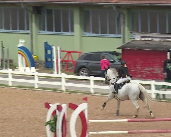 Reitturnier Kreuth/Opf. 2019