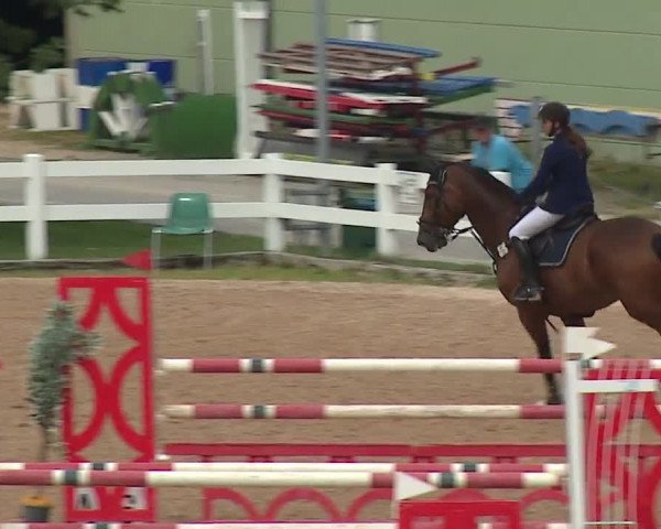 Reitturnier Kreuth/Opf. 2019