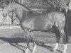 stallion Avocado (Westphalian, 1988, from Apart)