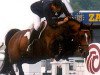 stallion Easy Star (Selle Français, 1992, from Ulior des Isles)