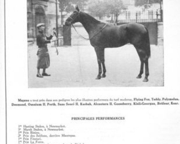 stallion Majano xx (Thoroughbred, 1937, from Deiri xx)