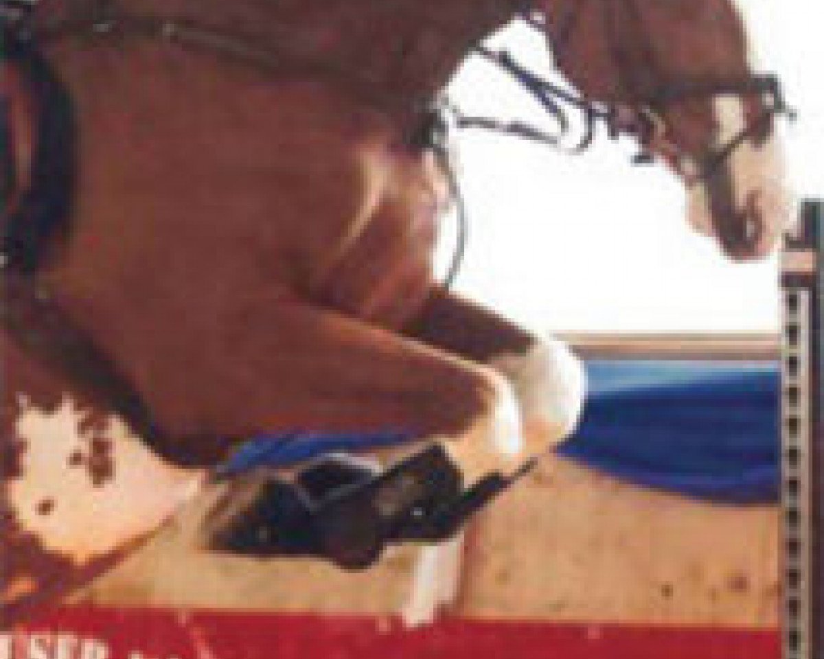 stallion Coeur de Caramel (Hanoverian, 2004, from Cordalme Z)