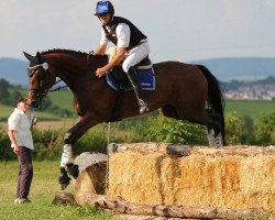 Springpferd Chayenne S 2 (Trakehner, 2011, von Elfado)