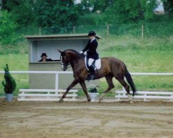 broodmare Gina (Zweibrücken, 1992, from Genf)