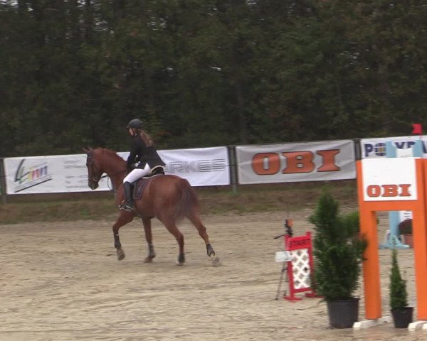 Reitturnier Meinerzhagen 2019