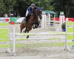 jumper Ombre 12 (Pinto / Small Riding Horse, 2000, from Kavalier)