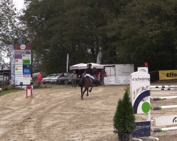 Reitturnier Meinerzhagen 2019