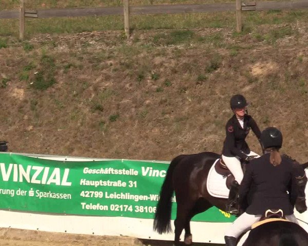 Reitturnier Leichlingen-Witzhelden 2019