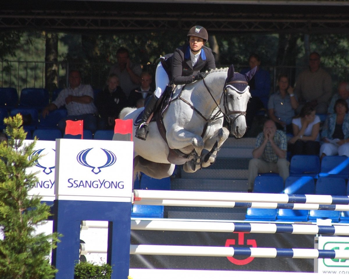 Springpferd Cachin (Deutsches Sportpferd, 2010, von Catch Your Dreams)